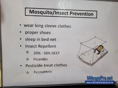 Mosquito Insect Prevention