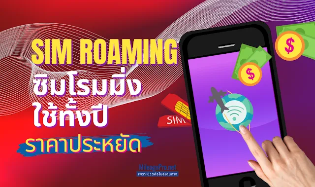 ซิมโรมมิ่งใช้ได้ทั้งปี